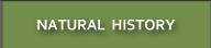 Natural History